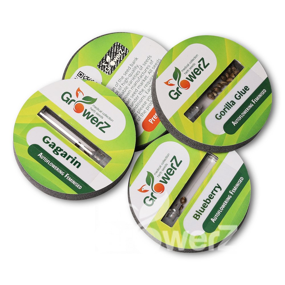 Northern Lights Auto Fem.