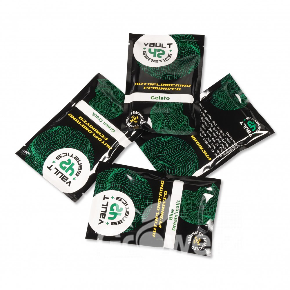 Blackberry Auto Fem.