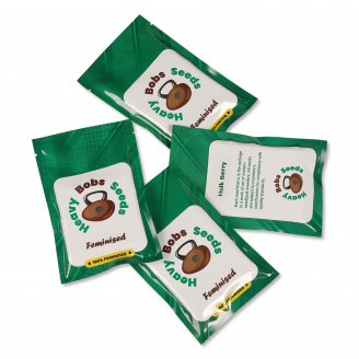 Семена конопли купить сорт Tank Fem. Семена конопли купить сорт Tank Fem.