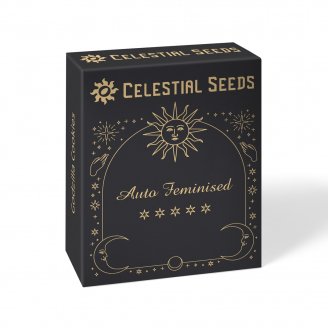 Семена конопли купить сорт Bruce Banner Auto Fem.