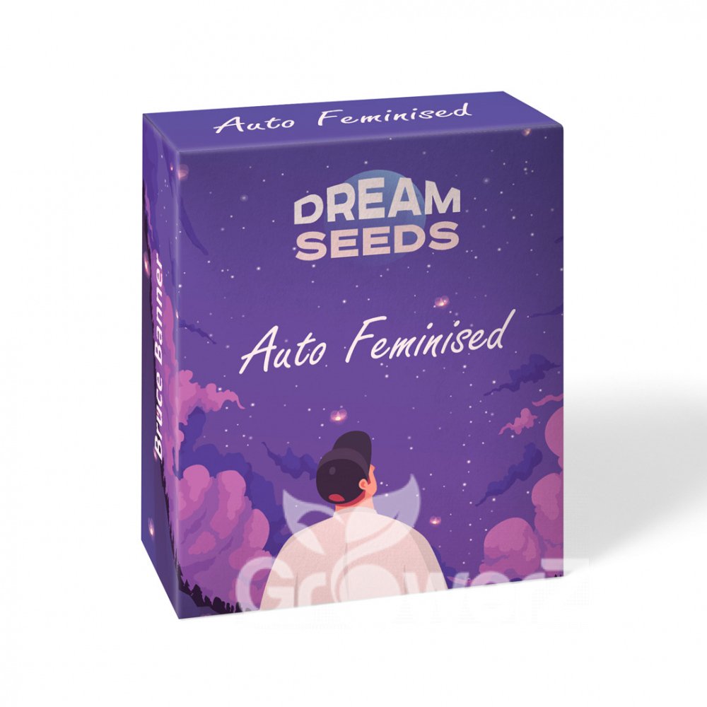 Pound Cake Auto Fem.