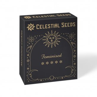 Семена конопли купить сорт Motor Breath Fem.