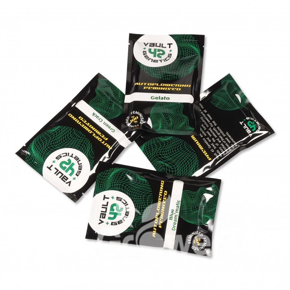 Plushberry Auto Fem.